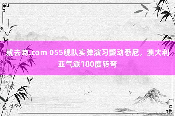 就去吻.com 055舰队实弹演习颤动悉尼，澳大利亚气派180度转弯