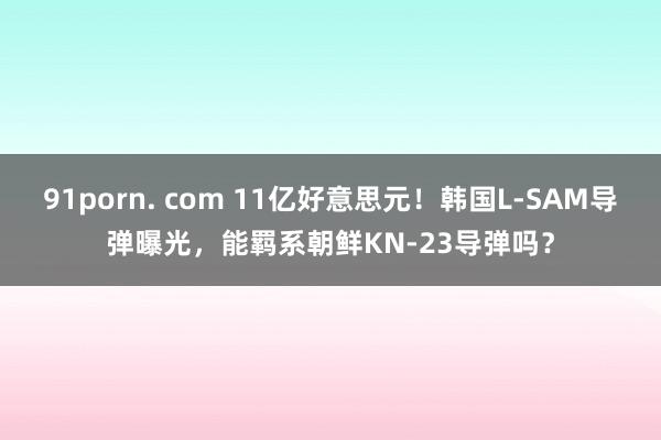 91porn. com 11亿好意思元！韩国L-SAM导弹曝光，能羁系朝鲜KN-23导弹吗？
