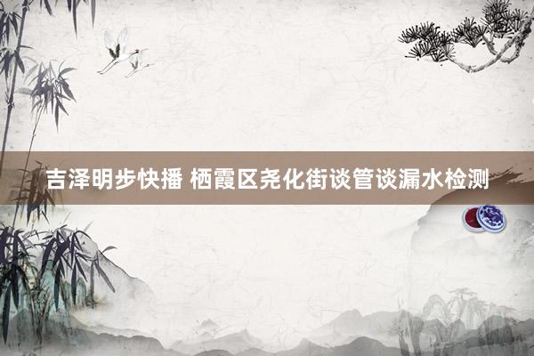吉泽明步快播 栖霞区尧化街谈管谈漏水检测