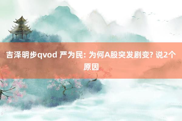 吉泽明步qvod 严为民: 为何A股突发剧变? 说2个原因