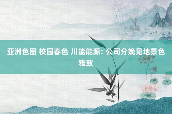 亚洲色图 校园春色 川能能源: 公司分娩见地景色雅致