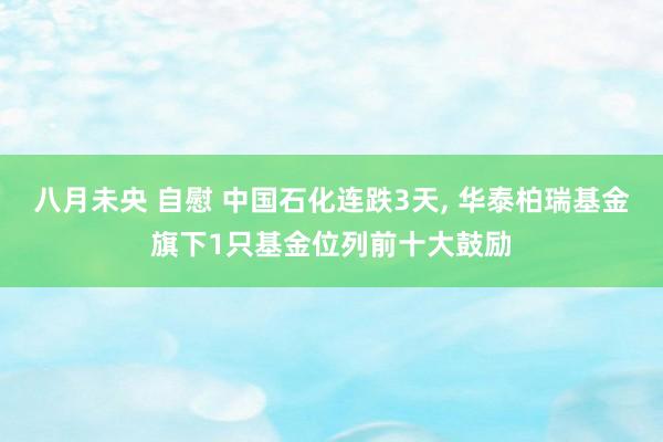 八月未央 自慰 中国石化连跌3天， 华泰柏瑞基金旗下1只基金位列前十大鼓励