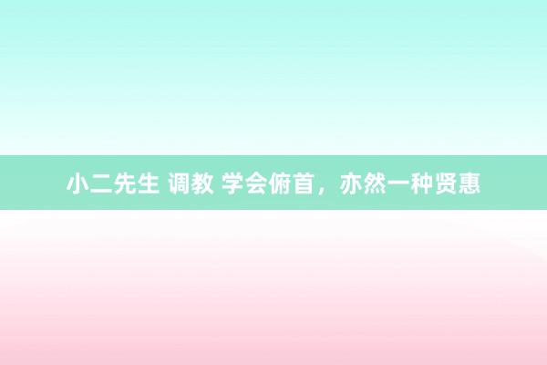 小二先生 调教 学会俯首，亦然一种贤惠
