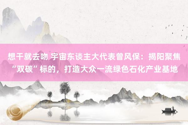 想干就去吻 宇宙东谈主大代表曾风保：揭阳聚焦“双碳”标的，打造大众一流绿色石化产业基地